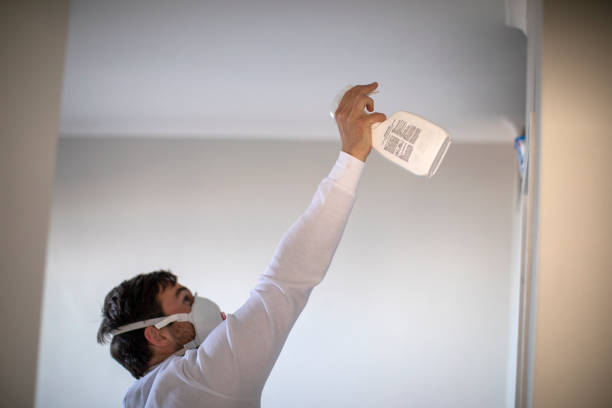 Best Mold Removal Near Me  in Greenwood, MS