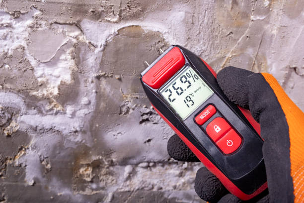 Best Mold Removal Specialists  in Greenwood, MS