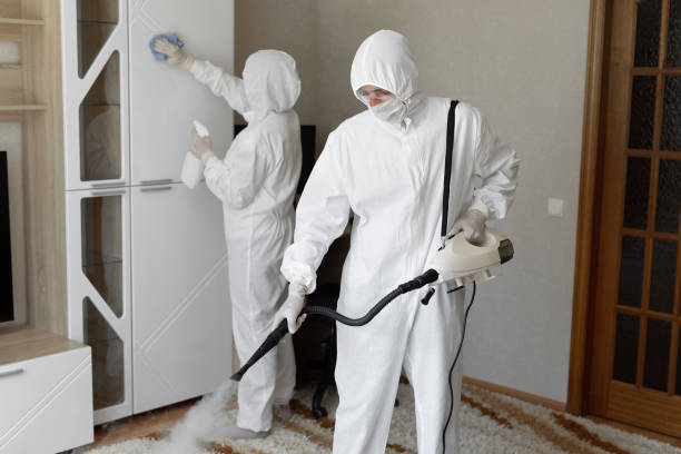 Mold Removal Process in Greenwood, MS